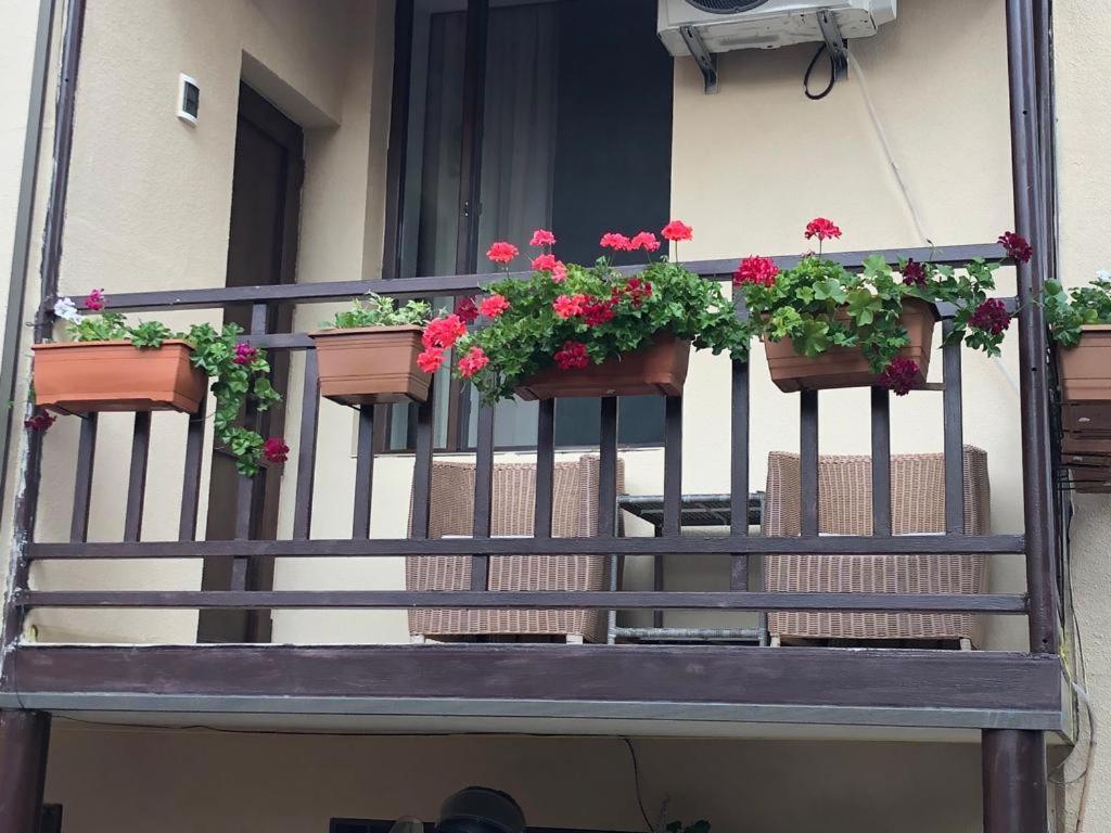 Tinikos Guest House Telawi Zewnętrze zdjęcie