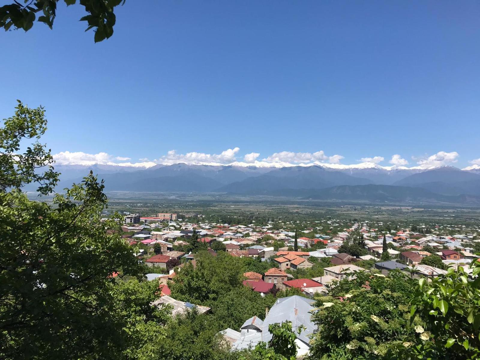 Tinikos Guest House Telawi Zewnętrze zdjęcie