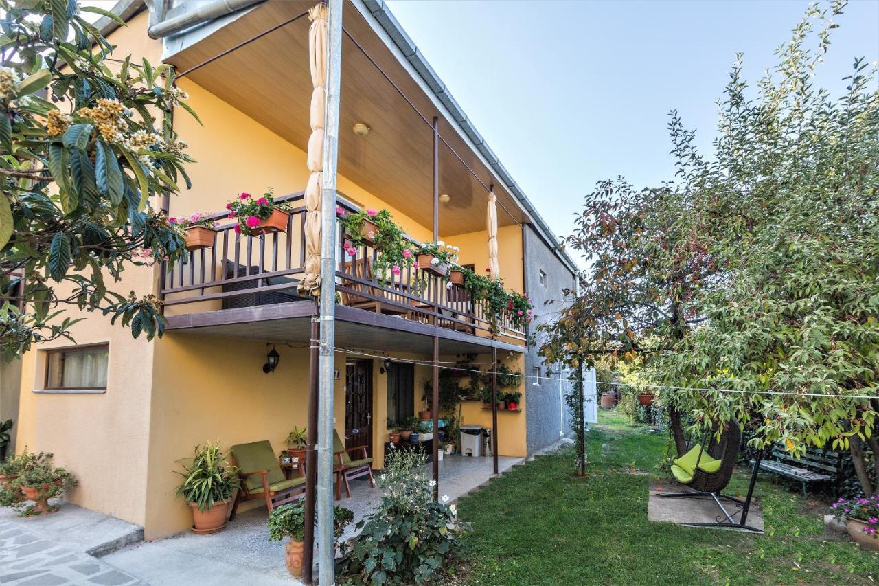 Tinikos Guest House Telawi Zewnętrze zdjęcie