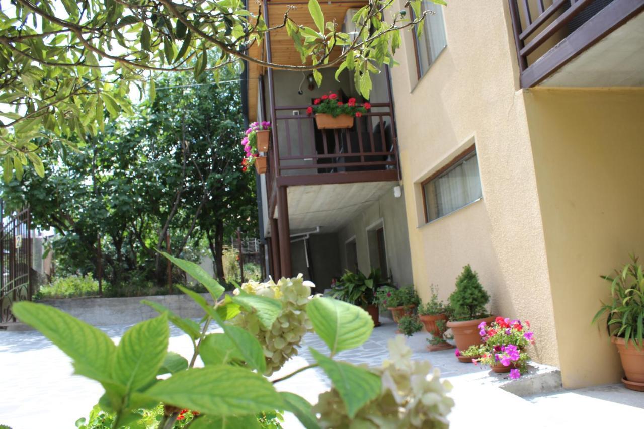 Tinikos Guest House Telawi Zewnętrze zdjęcie