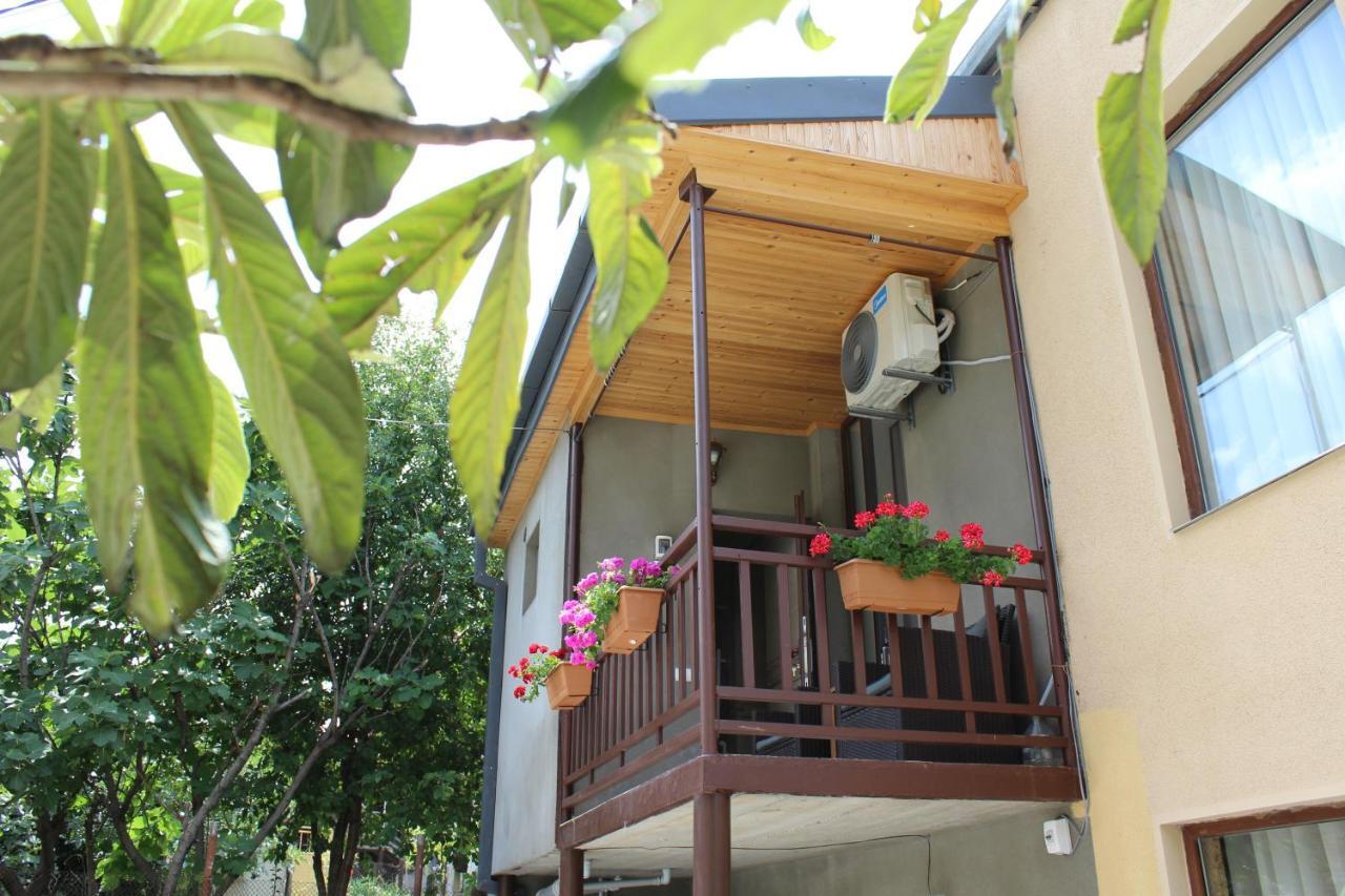 Tinikos Guest House Telawi Zewnętrze zdjęcie